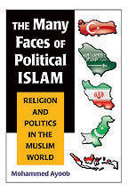 The Many Faces of Political Islam Book cover