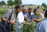 Entomologists in Tajikistan