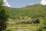 China forest